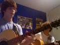 Reptilia (Acoustic Cover) - dublinStu
