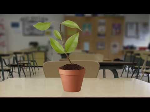 how to practice ethics