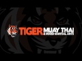 Tiger Muay Thai techniques: Defend knee respond w/ hook to face