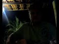 Hino da harpa crist� 597