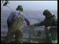 Lobstering In The 1980\ Lobstering In The 1980\