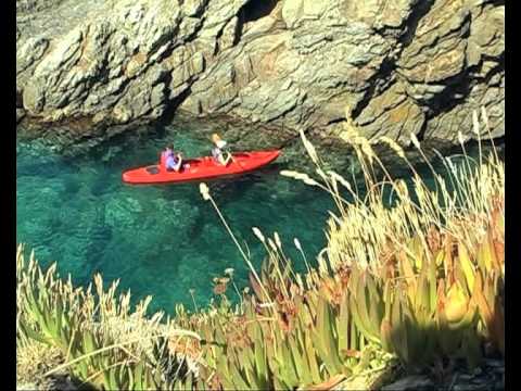 Blue Bear club Kayak