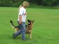 Aeros obedience Aeros obedience