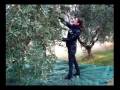 raccolta olive.wmv