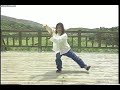 Chen Taiji Laojia Yilu