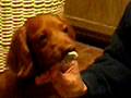 videos de Zoe havin' ice cream