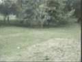 videos de Party All The Time (GIF Pt. 4)