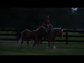 Rex Amos riding Ed (HeWillFrostYourGlass) a three year old gelding owned by MR Performance Horses. He is ponying a two year old stud colt. This is the colts first time being ponied. White Water Cougar is owned by April Collins an he is in training with MR Performance Horses for 90 days.