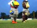 videos de ZOOperstars! at Alexian Field