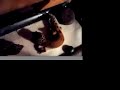 elvis shedding.mov