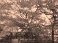 [TRANCE & RAP & PV]この街に来て15年