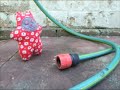 The Adventures of Catz