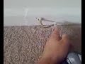 jackass stunt dingy thing