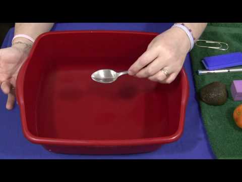 how to explain sink and float to kindergarteners