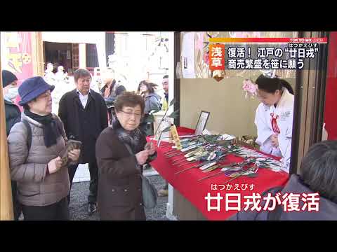 動画
