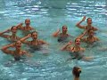 bvsc junior kombi 07 agua kup