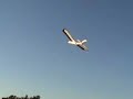 gws plane