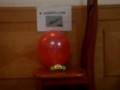 pop balloon and listen！！！！！