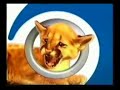 ID de AZUL TV LS 83 TV Canal 9 Buenos Aires - 1999 [2]