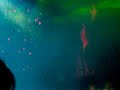 Take that beautiful world tour Rule The World