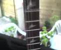 esp ltd f 250 esp ltd f 250