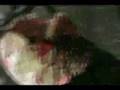 The Monster Within Douglas's Basement Part 10