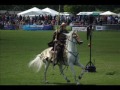 jousting at the west mid show