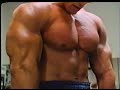 Arnold Schwarzenegger Concentration Curls