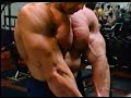 Arnold Schwarzenegger Concentration Curls