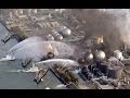 Fukushima Responders Starting To Get Sick Fukushima Responders Starting To Get Sick