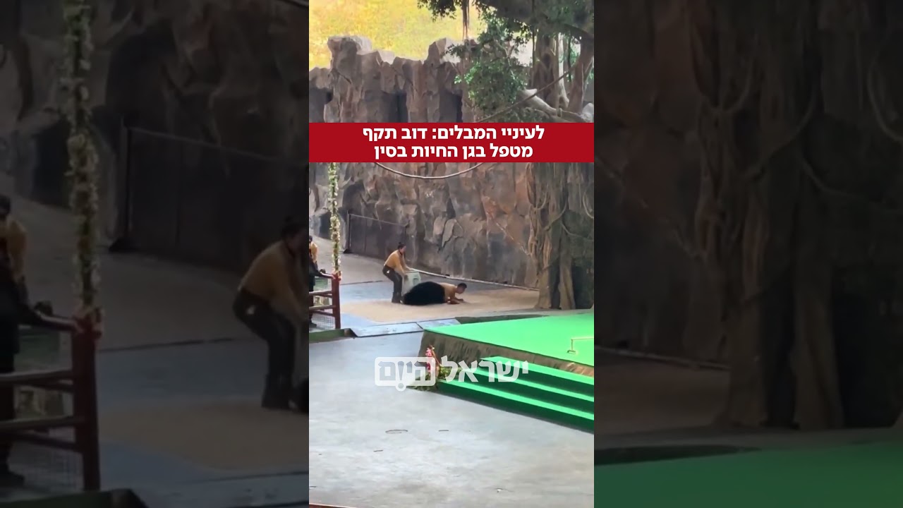 הגן מסר כי בנס גדול המטפל והדוב לא נפגעו באירוע.