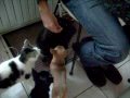 LES FILLES ET LEUR PAPA