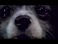 0107 Vis-A-Vis PreView.mov