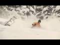 Helicopter skiing Canada - Selkirk Tangiers Heli Skiing