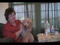 Labradoodles L&G: Labradoodle  Ear Care Tutorial