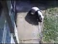 Mei playing in the hose spray