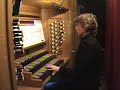 ORGANO CATEDRAL MAGISTRAL CTO.NAVIDAD LIUDMILA MATSYURA