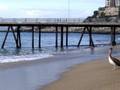 videos de Pelícanos al mar