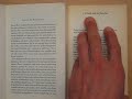 Dutch:  Languages of the World:  Introductory Overviews
