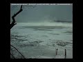 A Year of Winni Weather