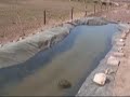 How to Build a Pond