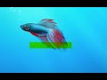 Windows 7 Beta 1 Deutsch im Video vorgestellt