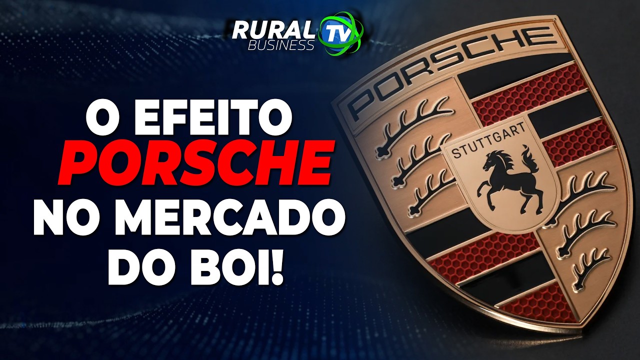 O EFEITO PORSCHE NO MERCADO DO BOI!