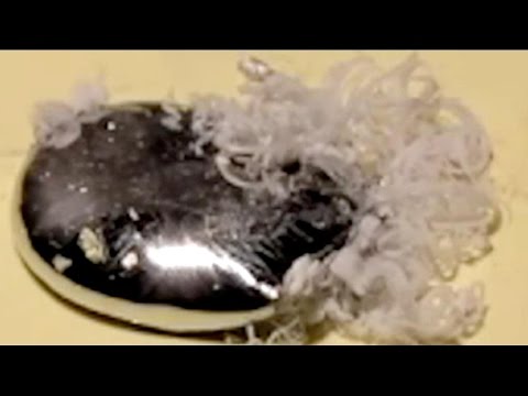 how to dissolve mercury