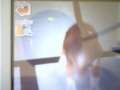 Nintendogs Tricks and Tips