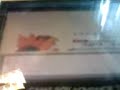 Typhlosion lvl 100 Typhlosion lvl 100