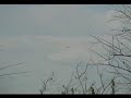 french christmas carol with subtitles in english and landscapes of south britanny.
chant de no�l (