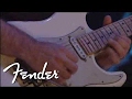 Dweezil Zappa 'Torture'