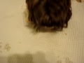 MOV09256