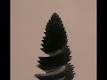 http://www.kalenzo.comThis work is conceptualized as an 